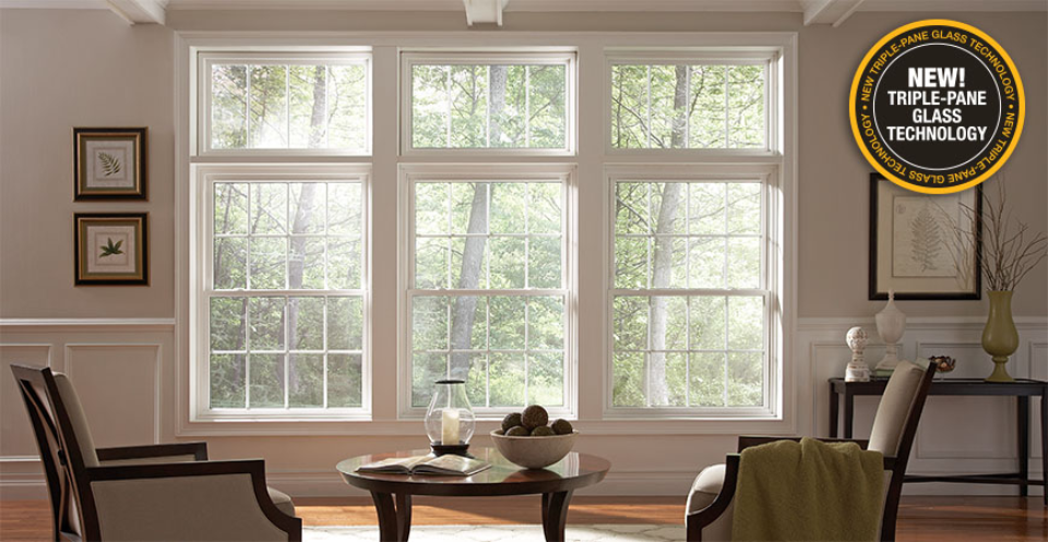 Michigan living room windows