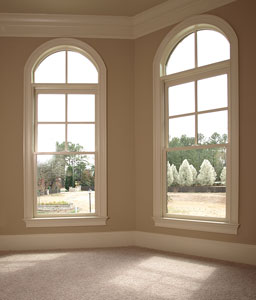Dinning room windows