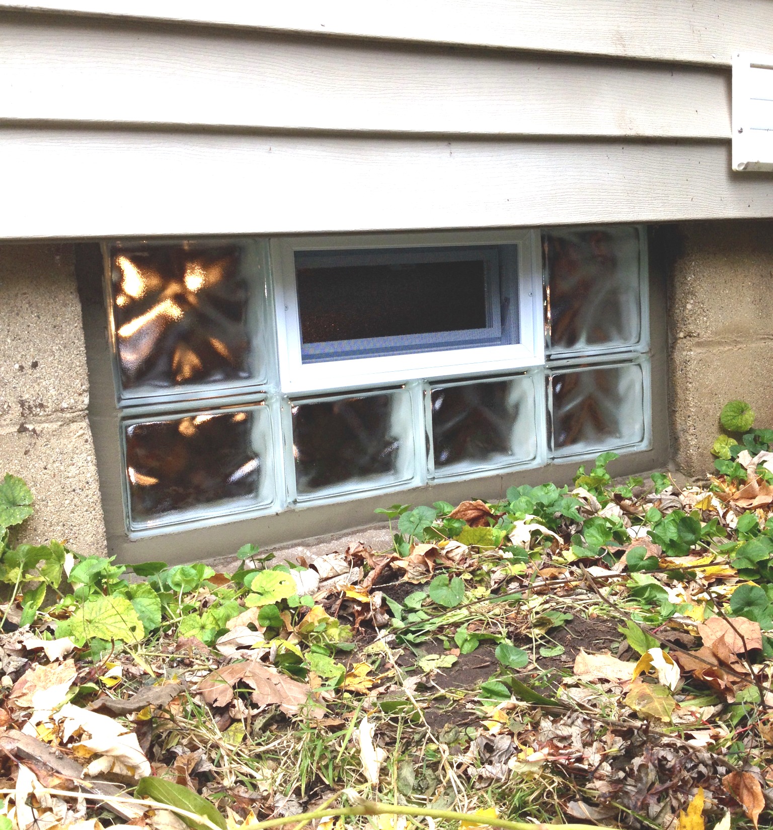 glass block basement window in the ivy
